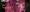 HMT Nutcracker 2022 HMT Nutcracker 2022